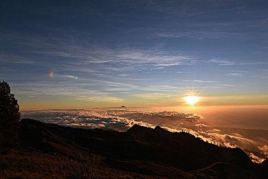 《义贼侦探诺斯里》首支PV公开 12月22日发售